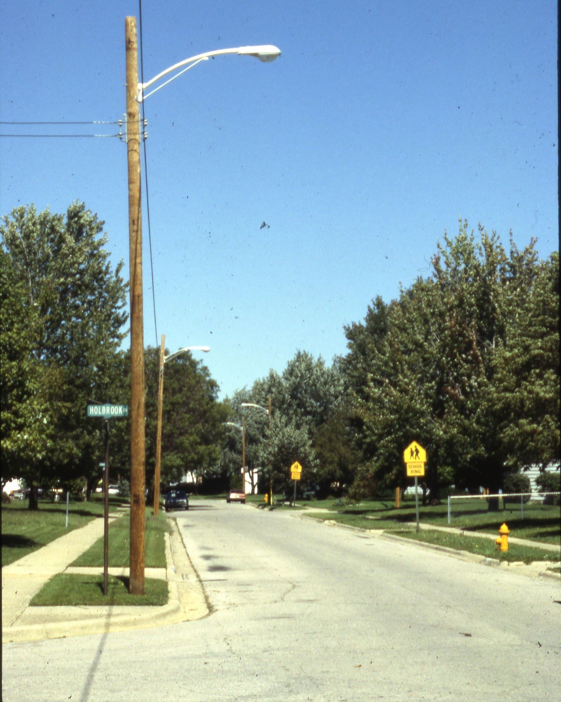 Street lights along a tree-lined residential street in daylight